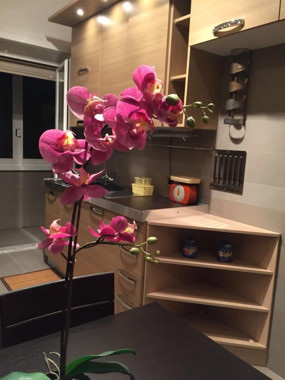 דירות רומא Smart House - Ammiragli2 מראה חיצוני תמונה